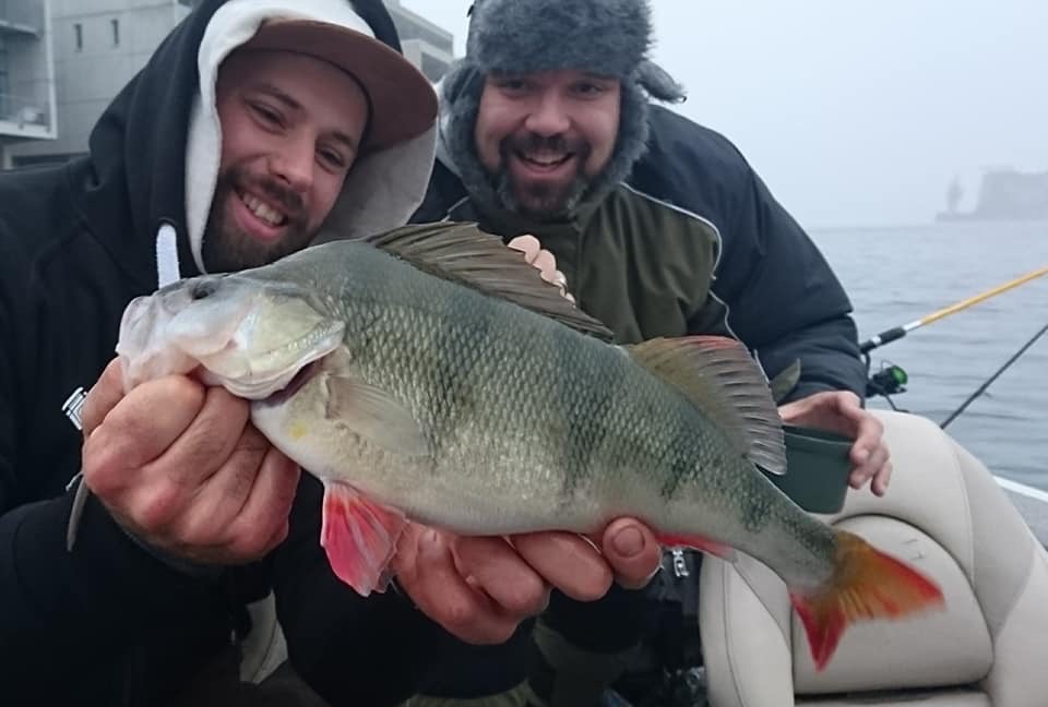 Perch Fishing Guide Ireland: Essential Gear & Techniques