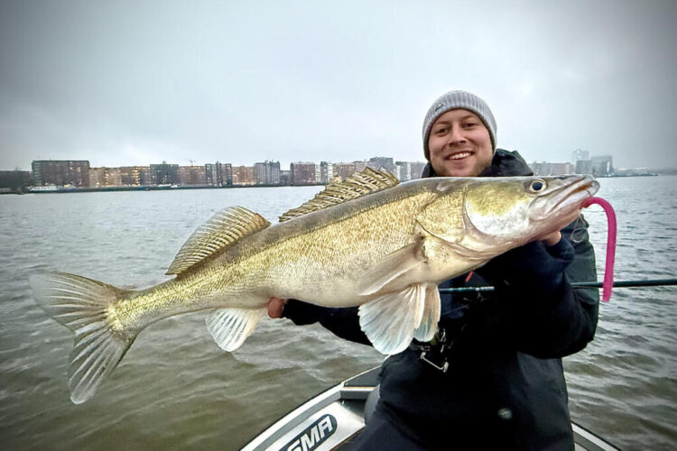 Winter fishing for zander in Amsterdam