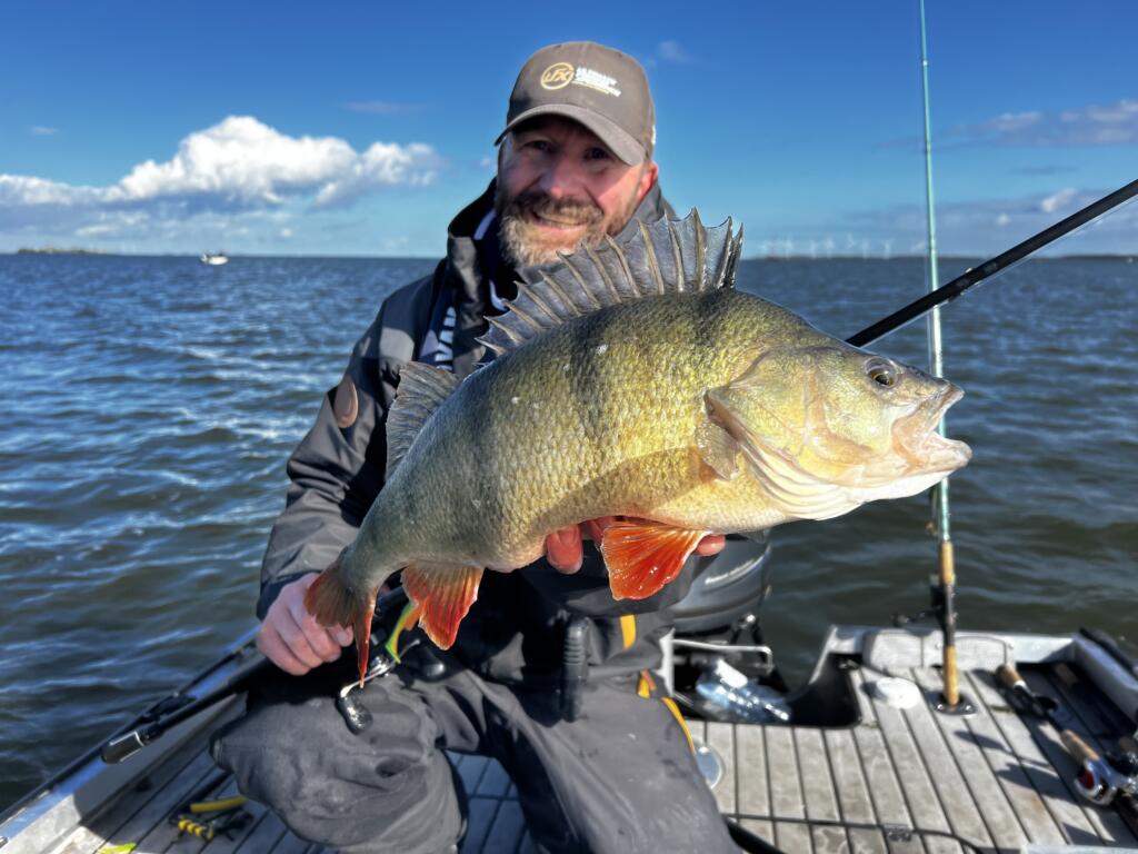 Huge Amsterdam winter perch