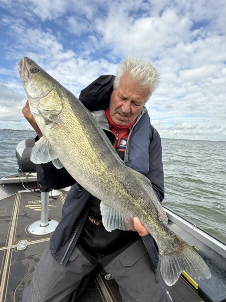 Large Amsterdam zander