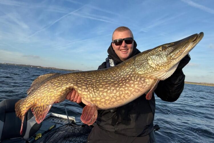Fat winter pike in Amsterdam