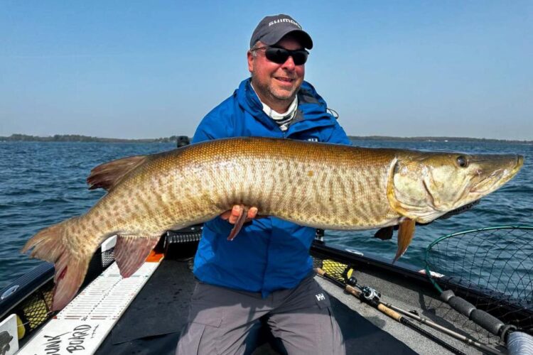 This muskie shows the dark spots on a lighter body