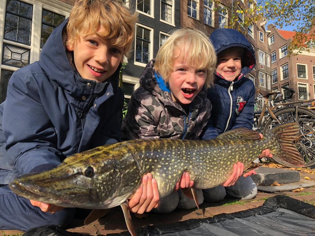 Amsterdam city centre pike