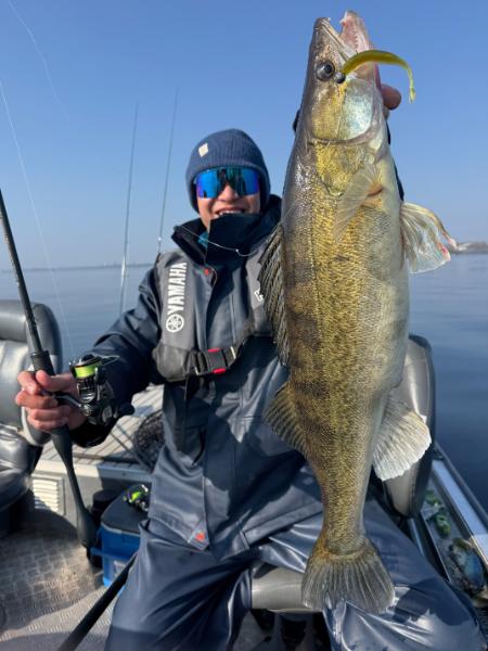 Awesome pre-spawing Amsterdam Zander (30" ~ 10 lb)